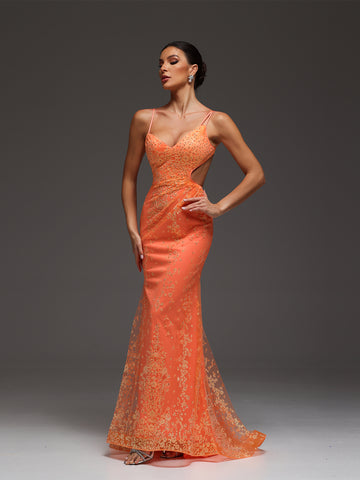 Talia Beaded Sequin Cut-Out Mesh Maxi Dress